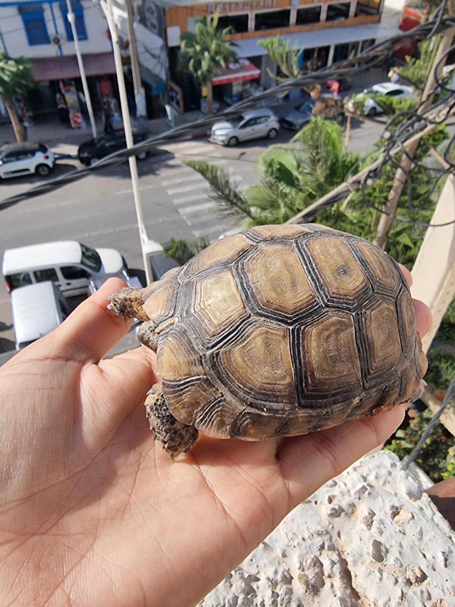 Taghazout Lägenhet Exteriör bild